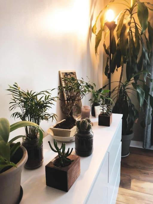 Apartment Superbe T3 Dans L'hyper Centre Blois